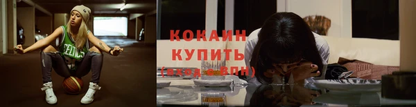 индика Абинск