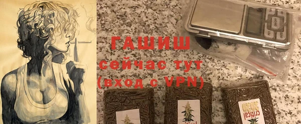 индика Абинск
