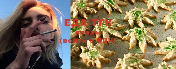индика Абинск