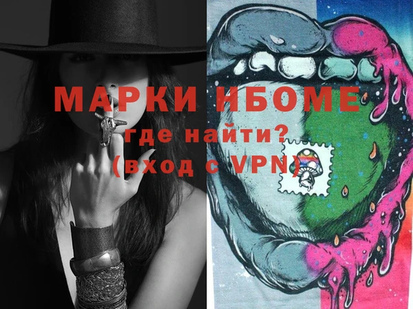 индика Абинск